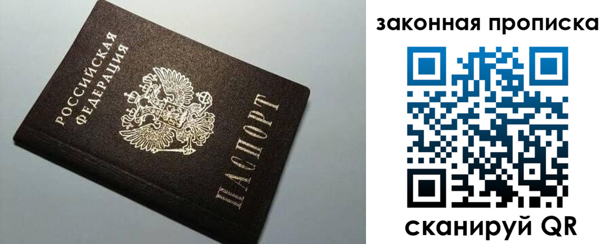 прописка поиск в Владимире